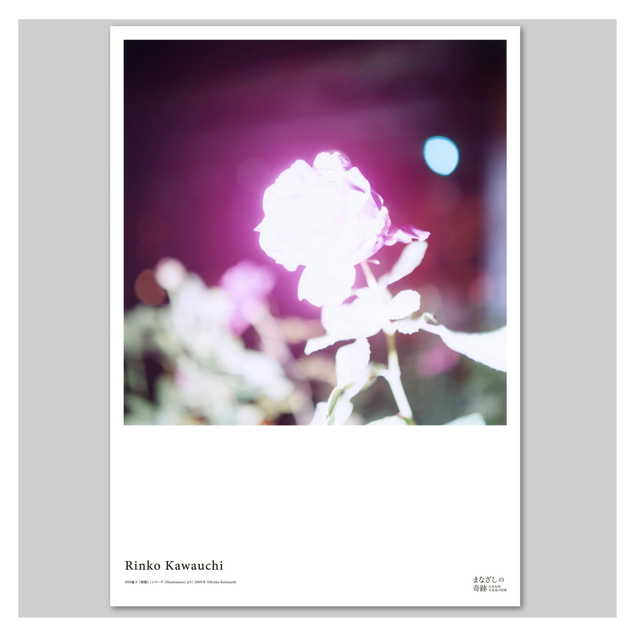 まなざしの奇跡展　ポスター　川内倫子　Rinko Kawauchi