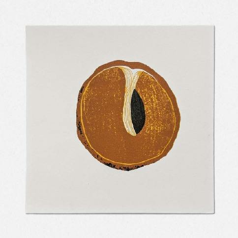 Sapota