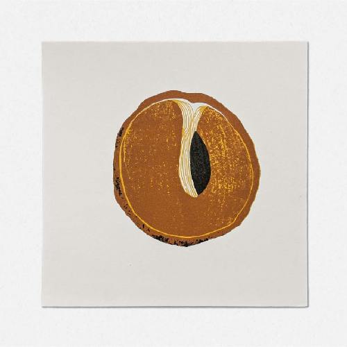 Sapota