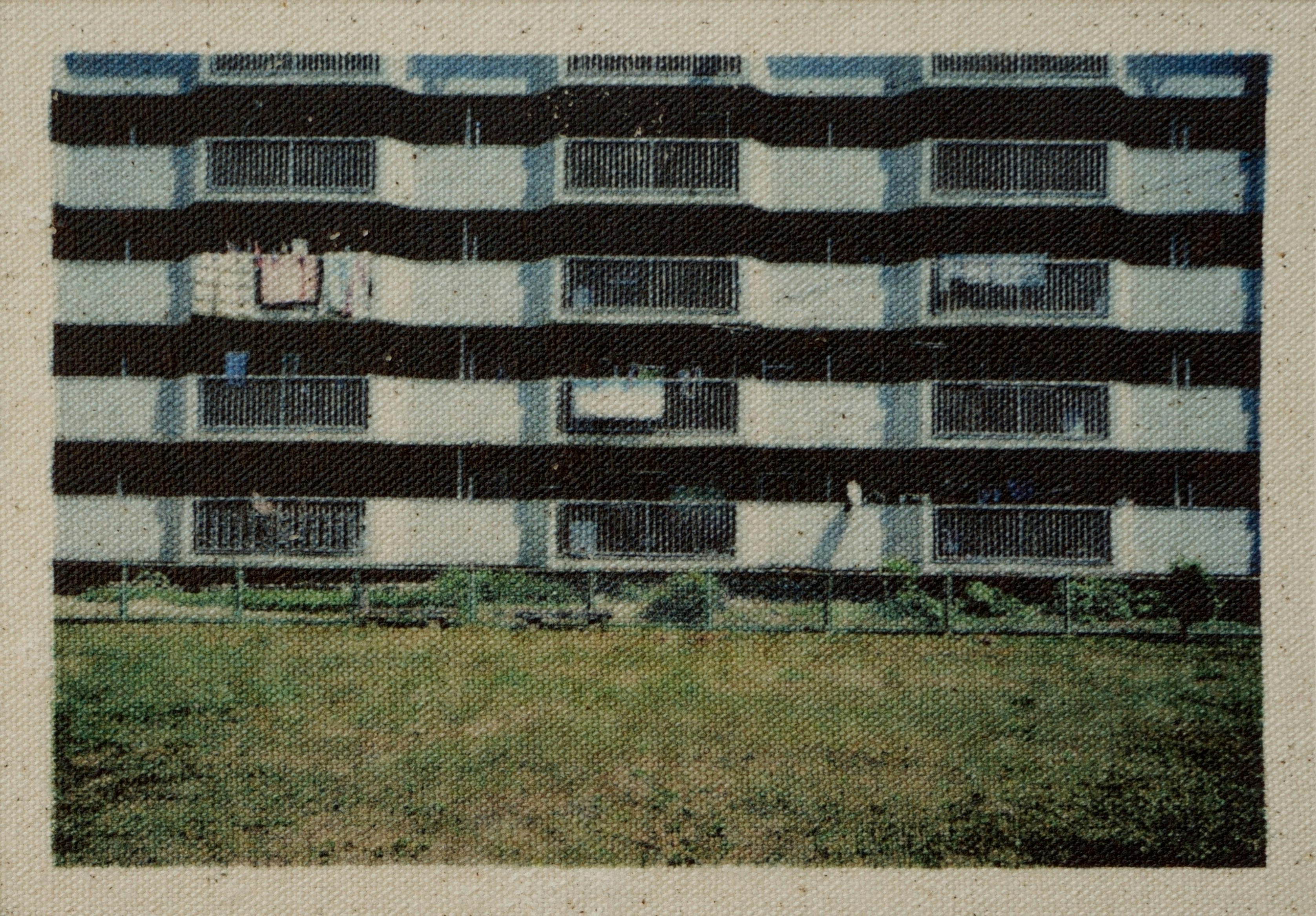 Nest