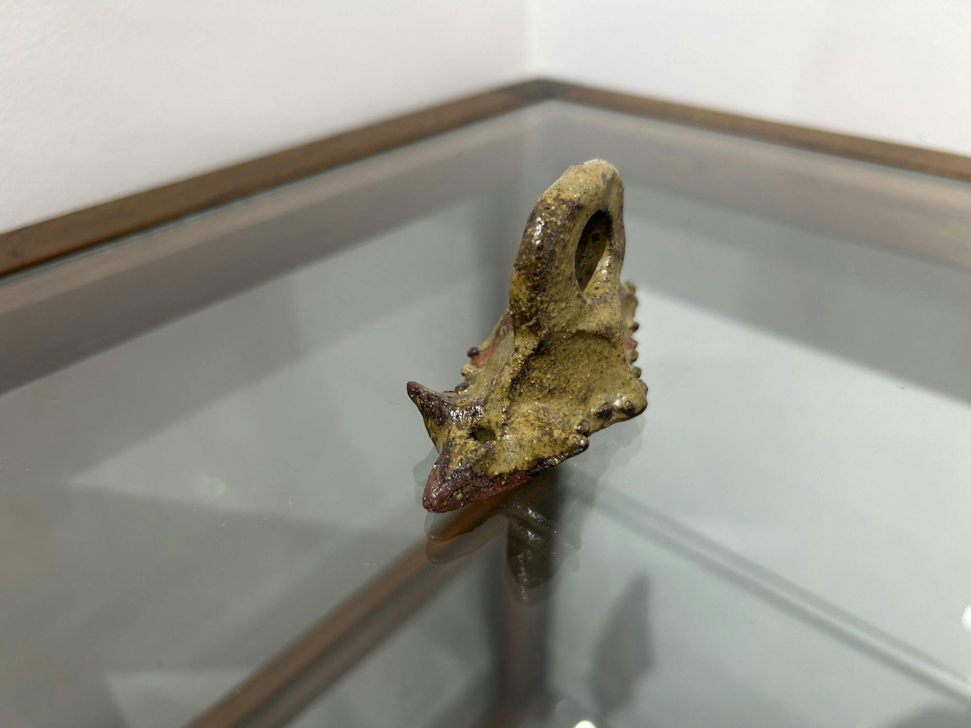 フックの虫 Ⅱ