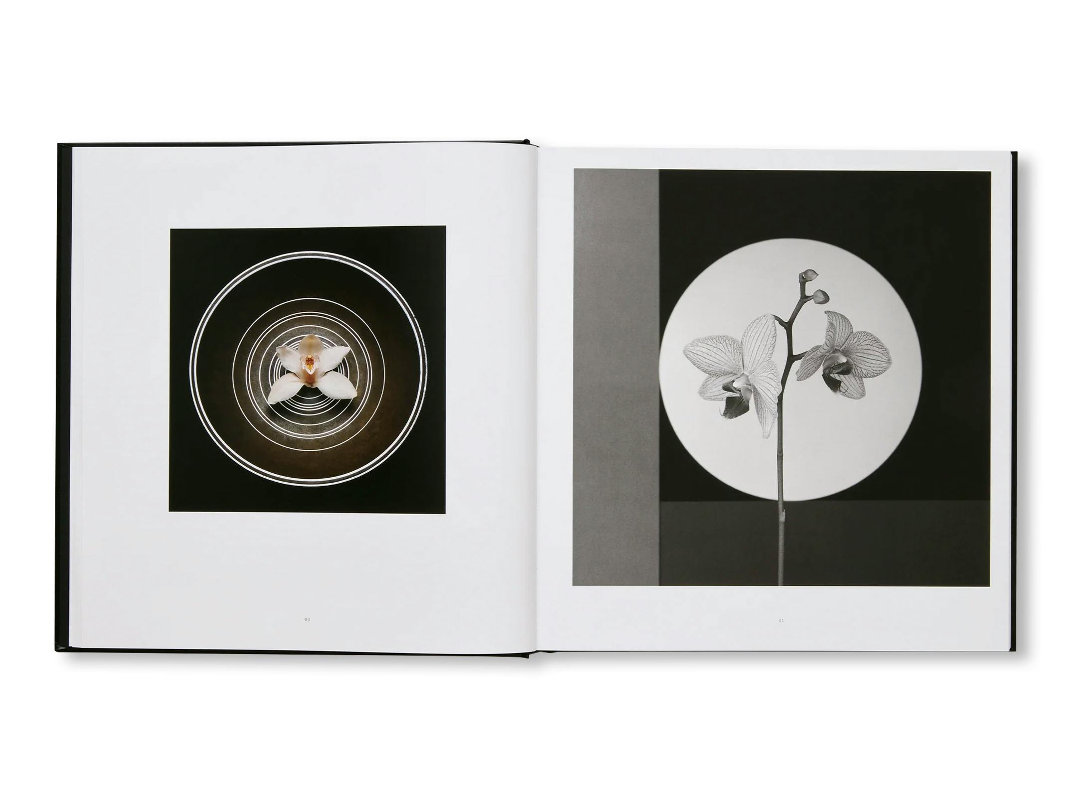 MAPPLETHORPE FLORA: THE COMPLETE FLOWERS [NEW EDITION]
