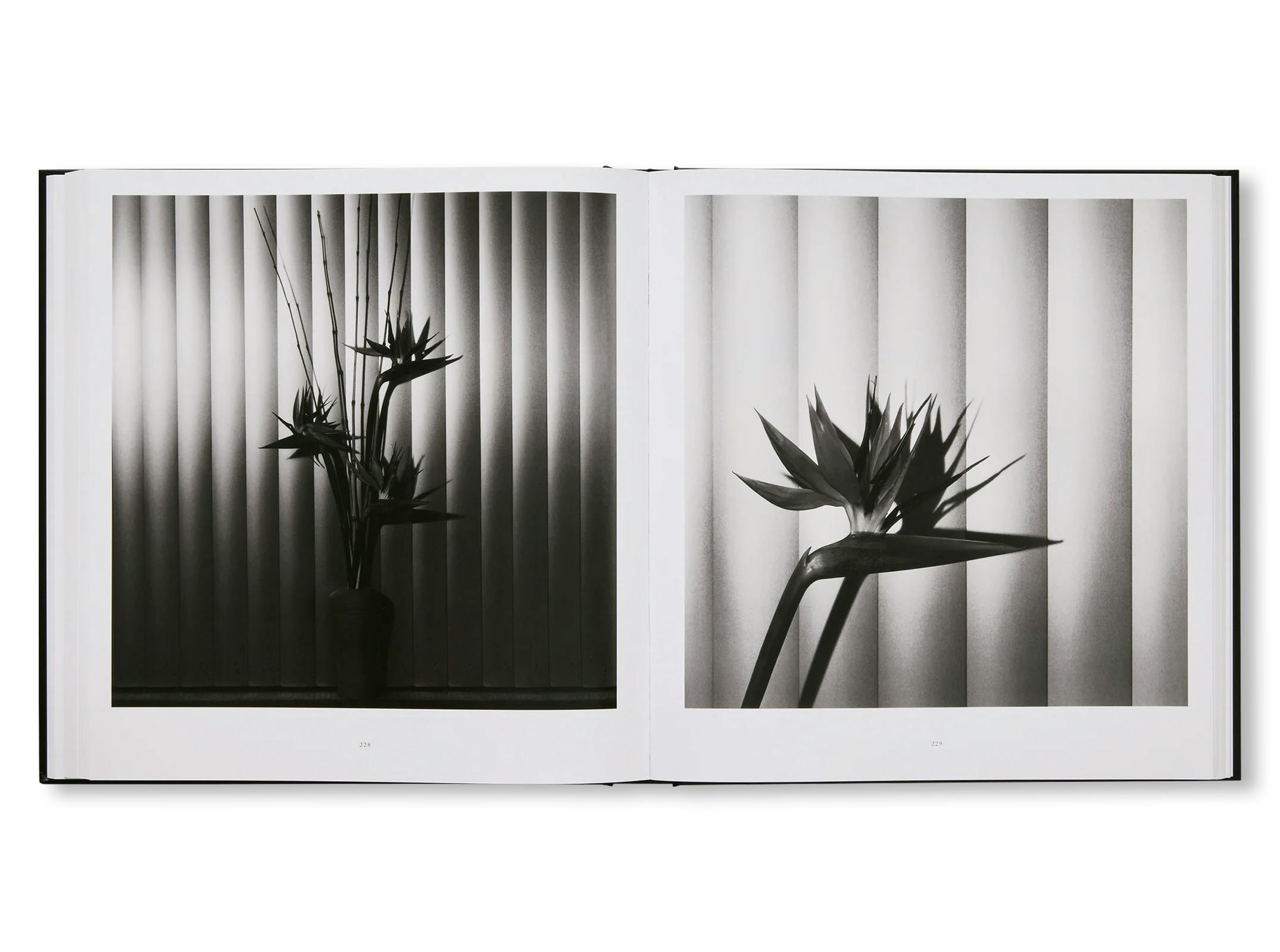 MAPPLETHORPE FLORA: THE COMPLETE FLOWERS [NEW EDITION]