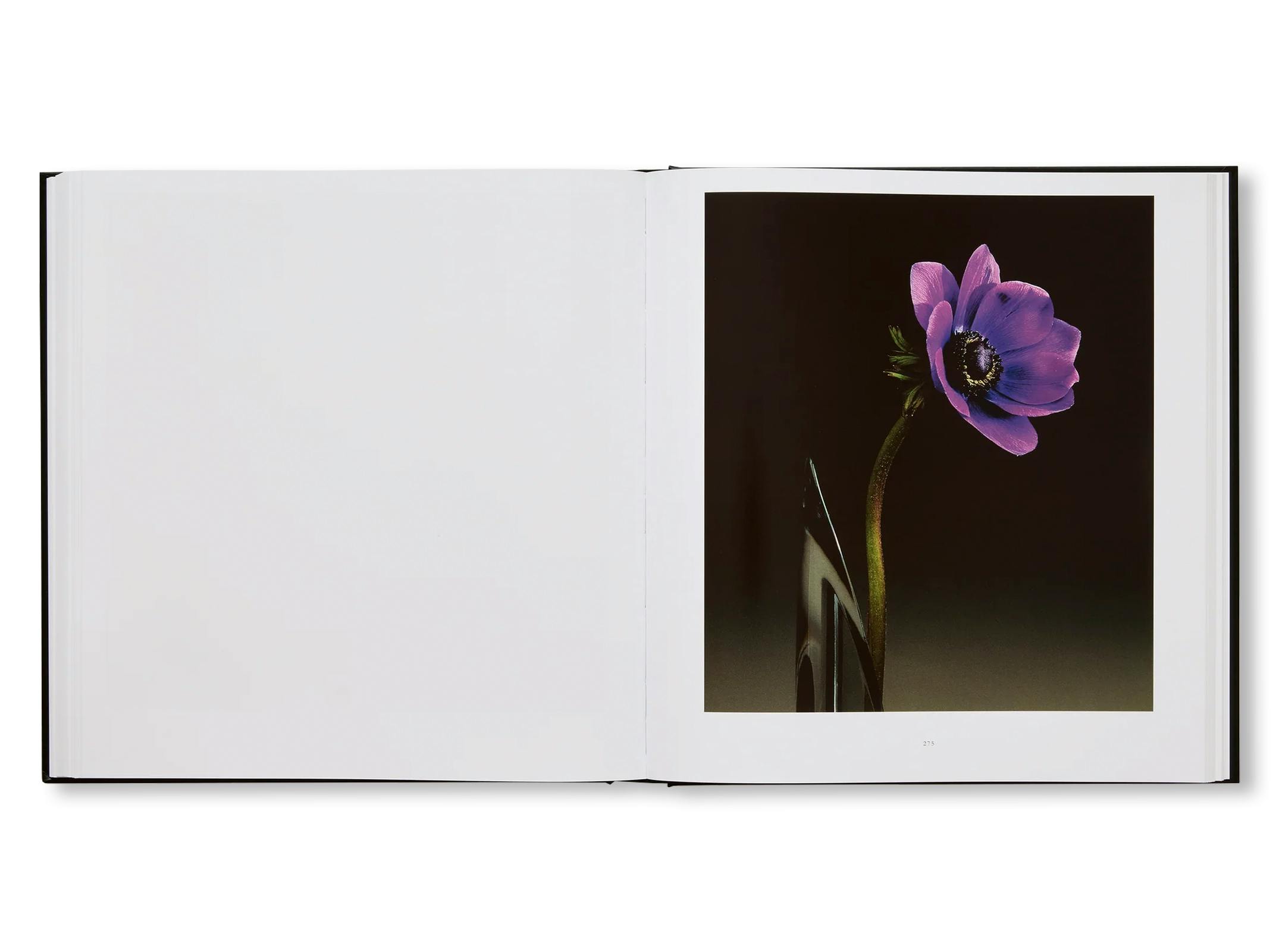 MAPPLETHORPE FLORA: THE COMPLETE FLOWERS [NEW EDITION]