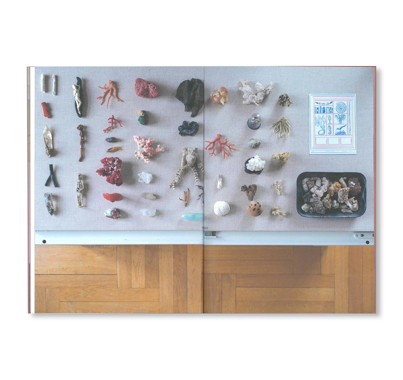 OBSESSION - COLLECTION: SAMMLUNG GERHARD THEEWEN