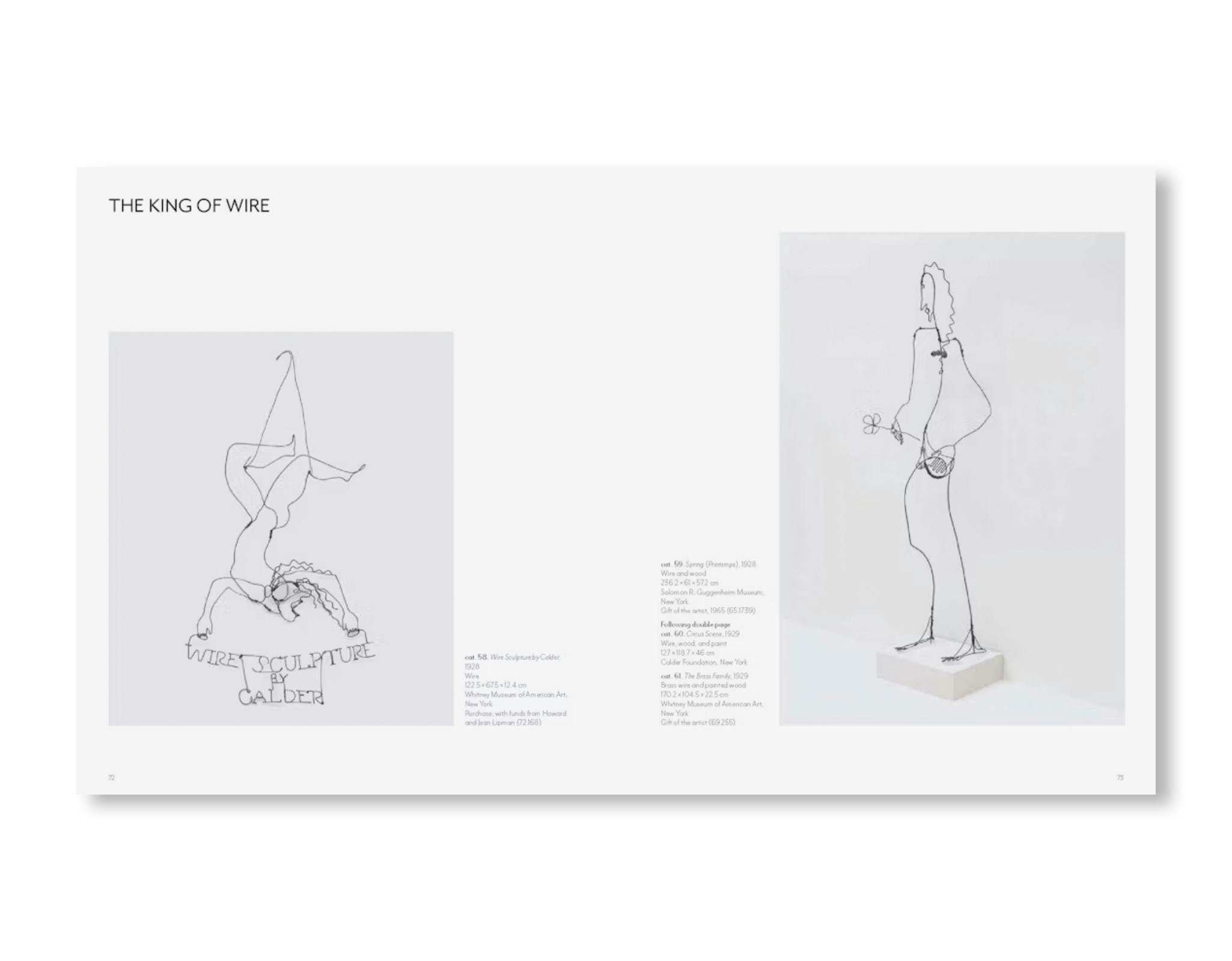 CALDER: DREAMING IN EQUILIBRIUM