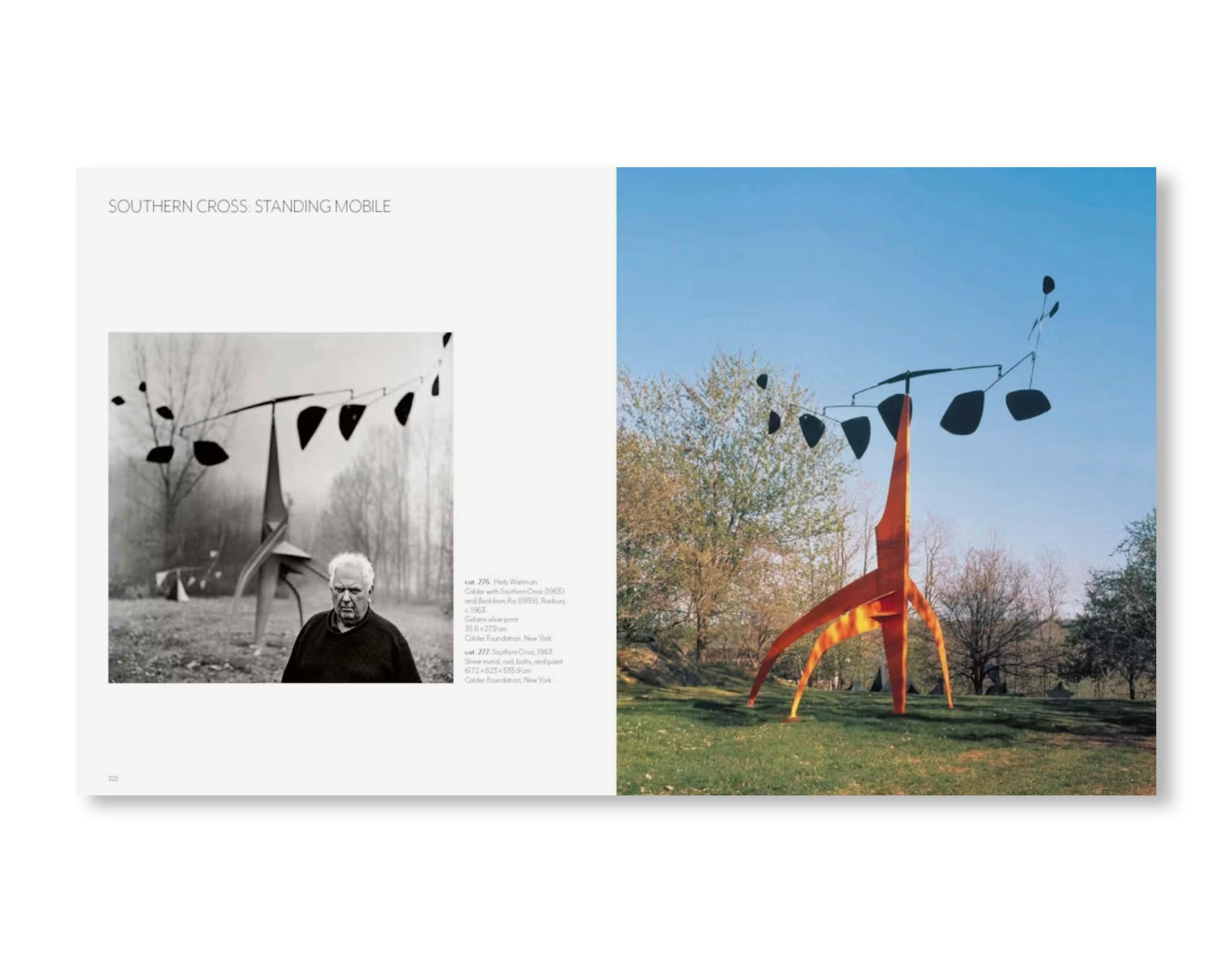CALDER: DREAMING IN EQUILIBRIUM