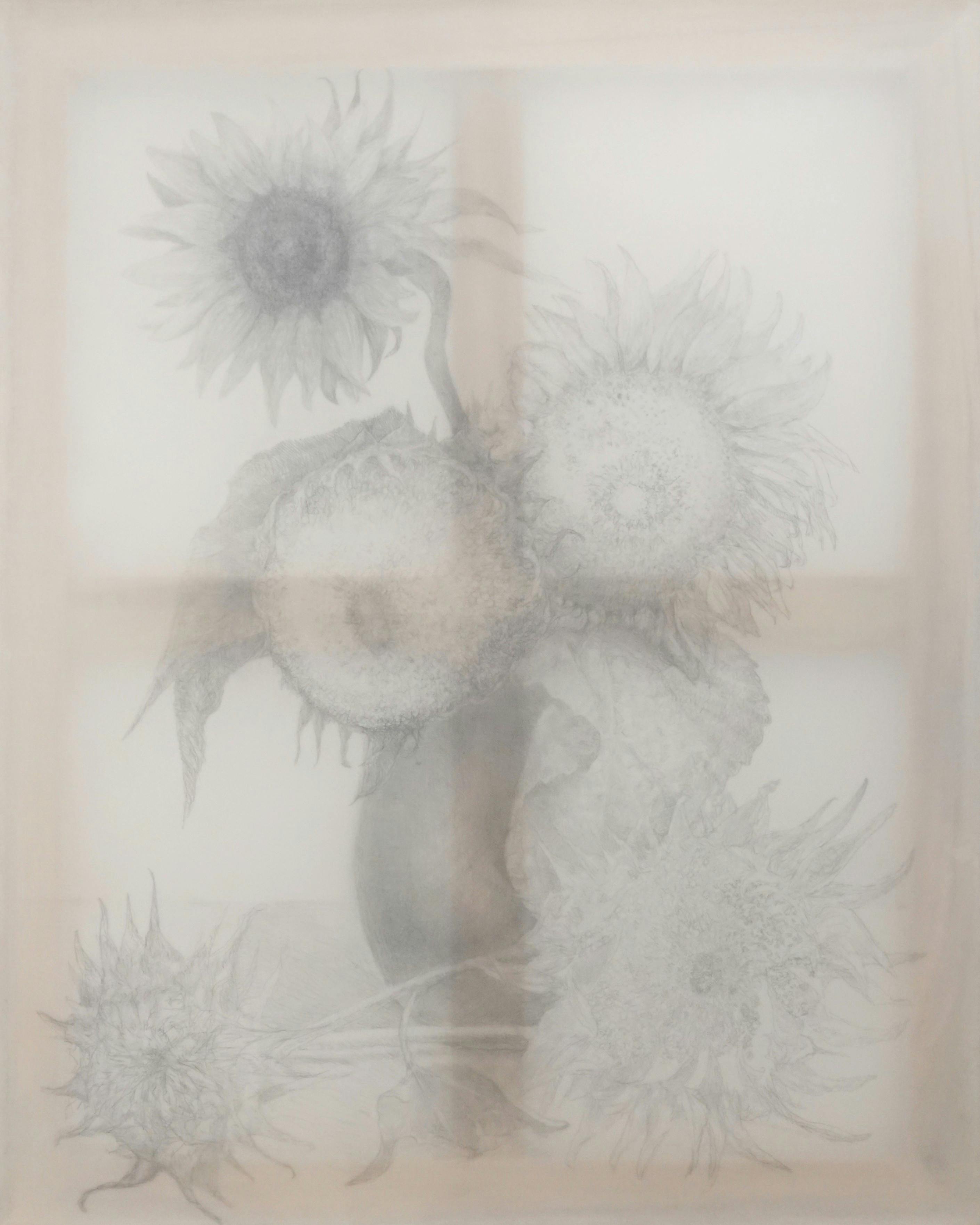 芦屋ひまわり