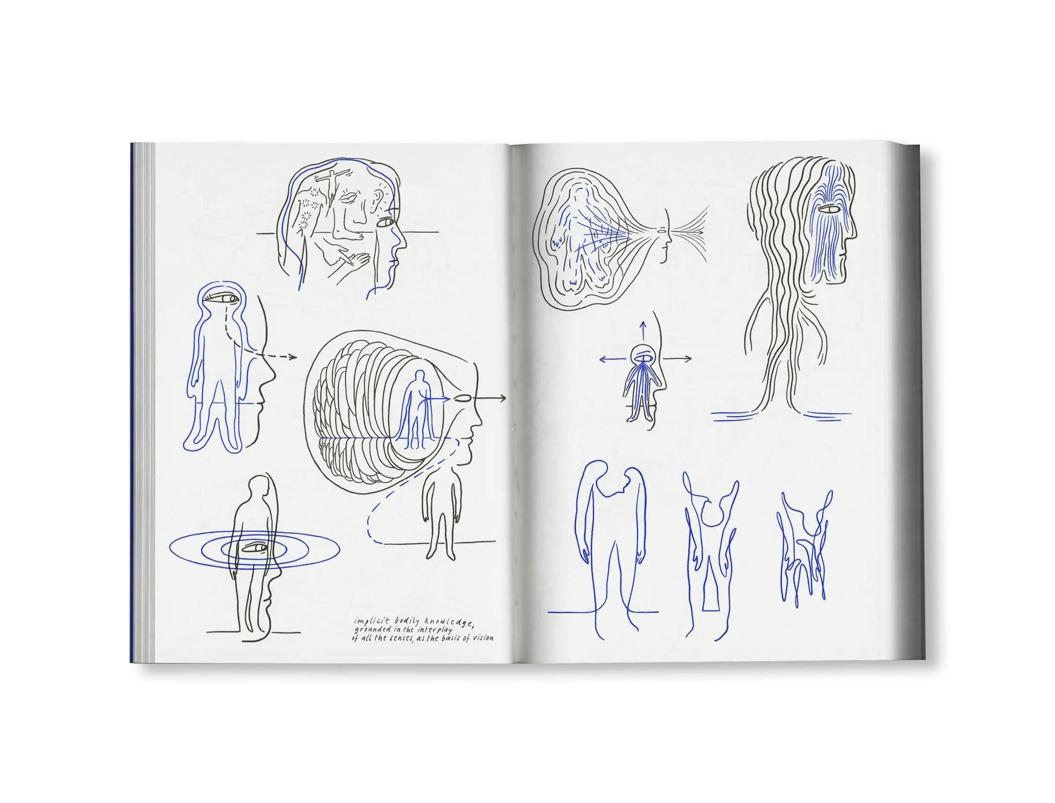 LOOK! - A VISUAL PHILOSOPHY OF SEEING