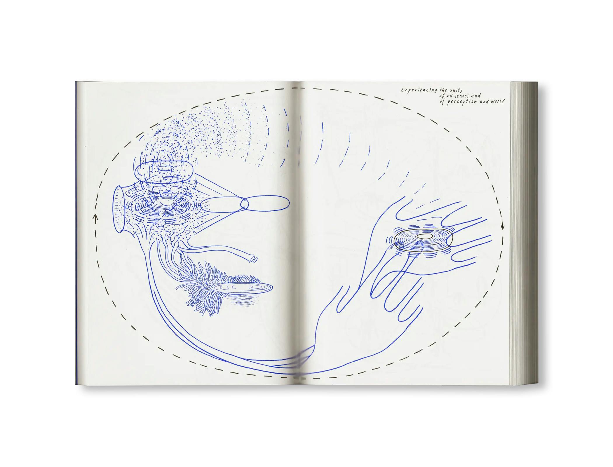 LOOK! - A VISUAL PHILOSOPHY OF SEEING
