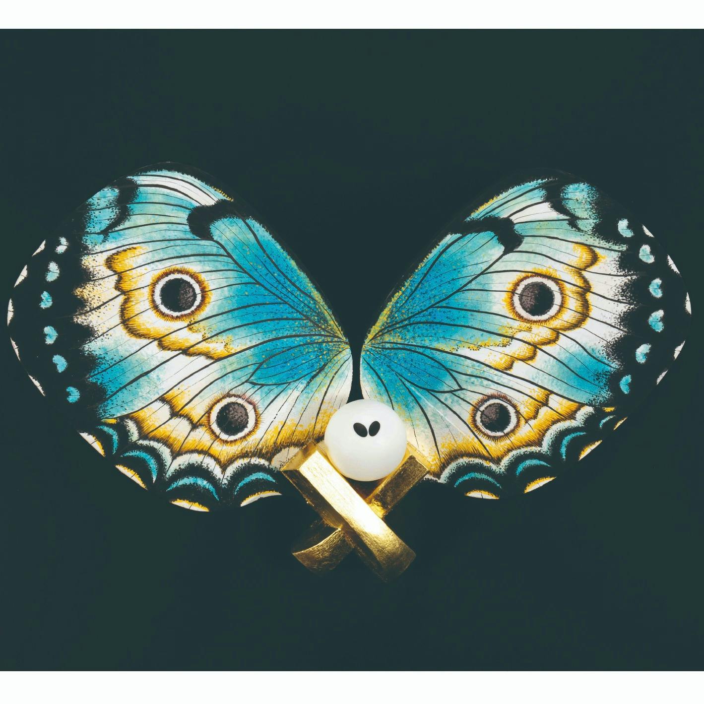 BUTTERFLY EFFECT #001