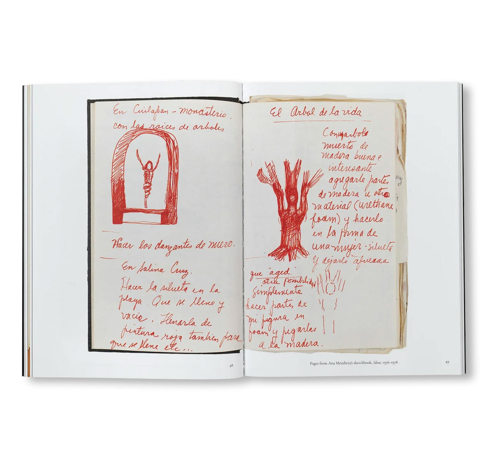 ANA MENDIETA: BACK TO THE SOURCE