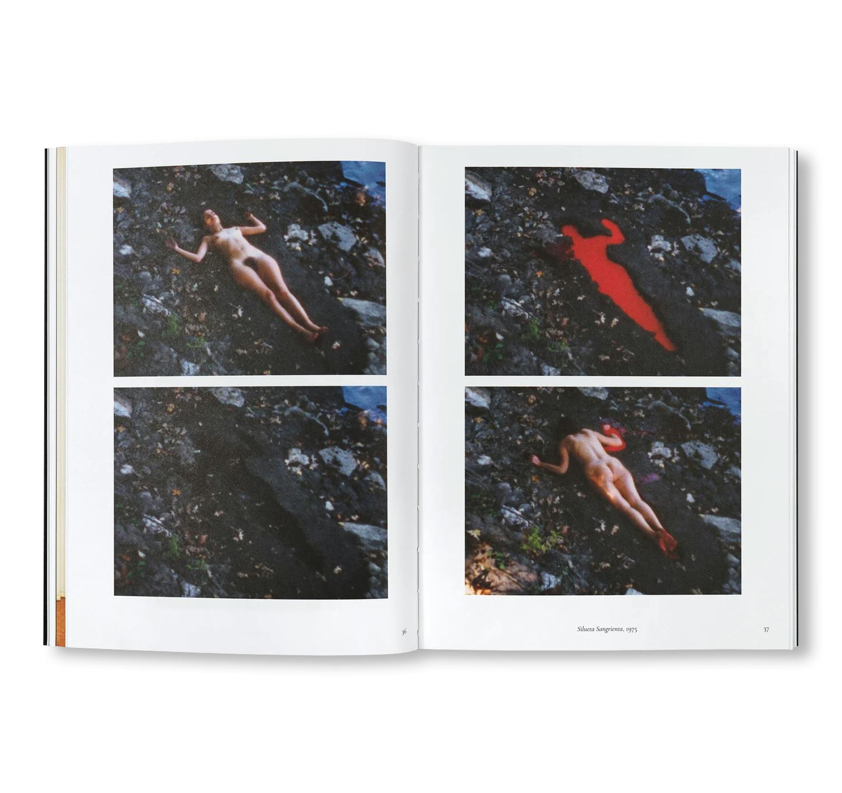 ANA MENDIETA: BACK TO THE SOURCE