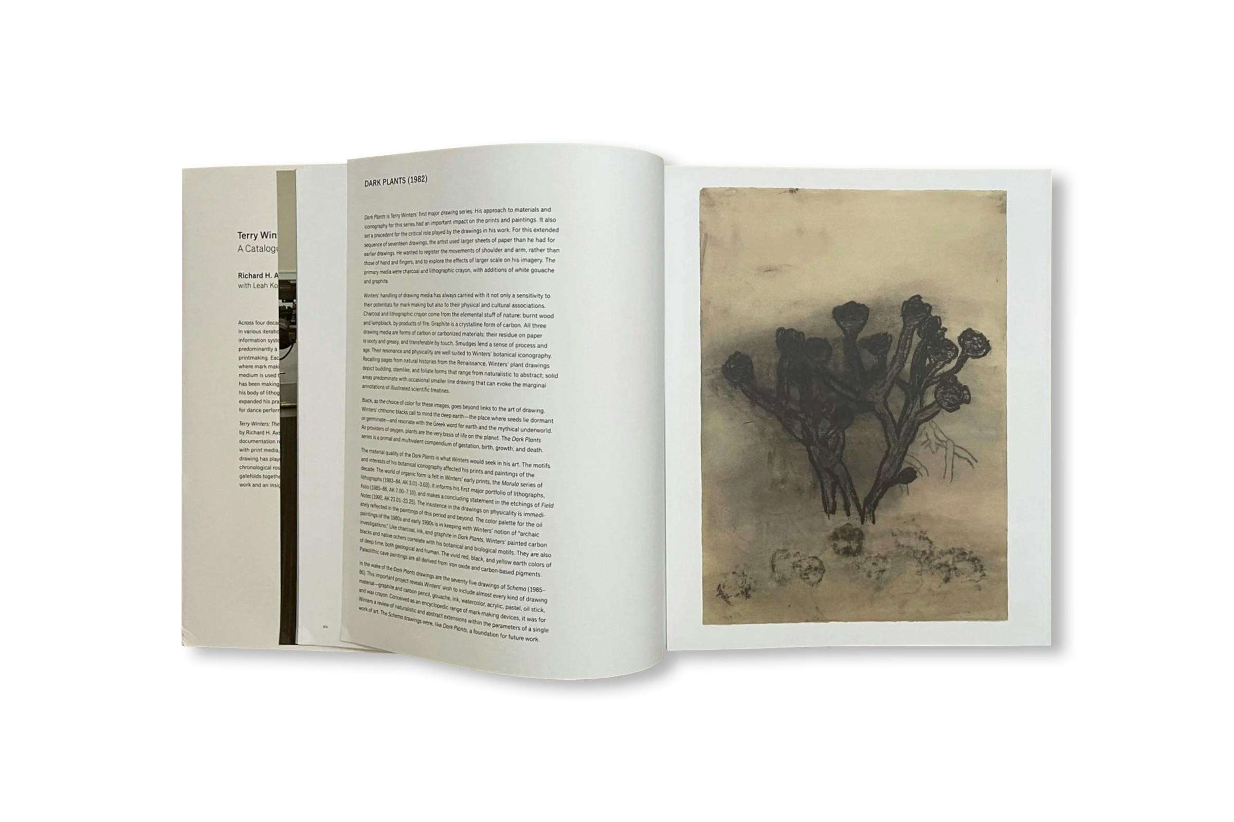TERRY WINTERS: THE PRINTED WORK, A CATALOGUE RAISONNÉ