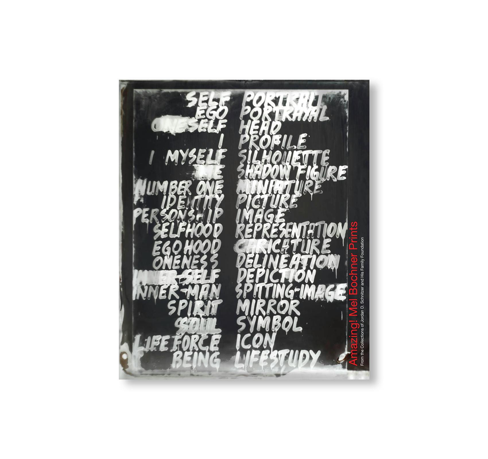AMAZING! MEL BOCHNER PRINTS