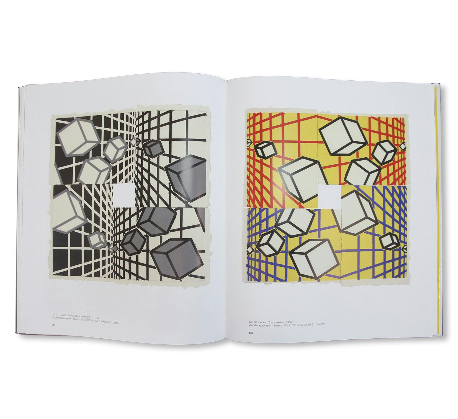 AMAZING! MEL BOCHNER PRINTS