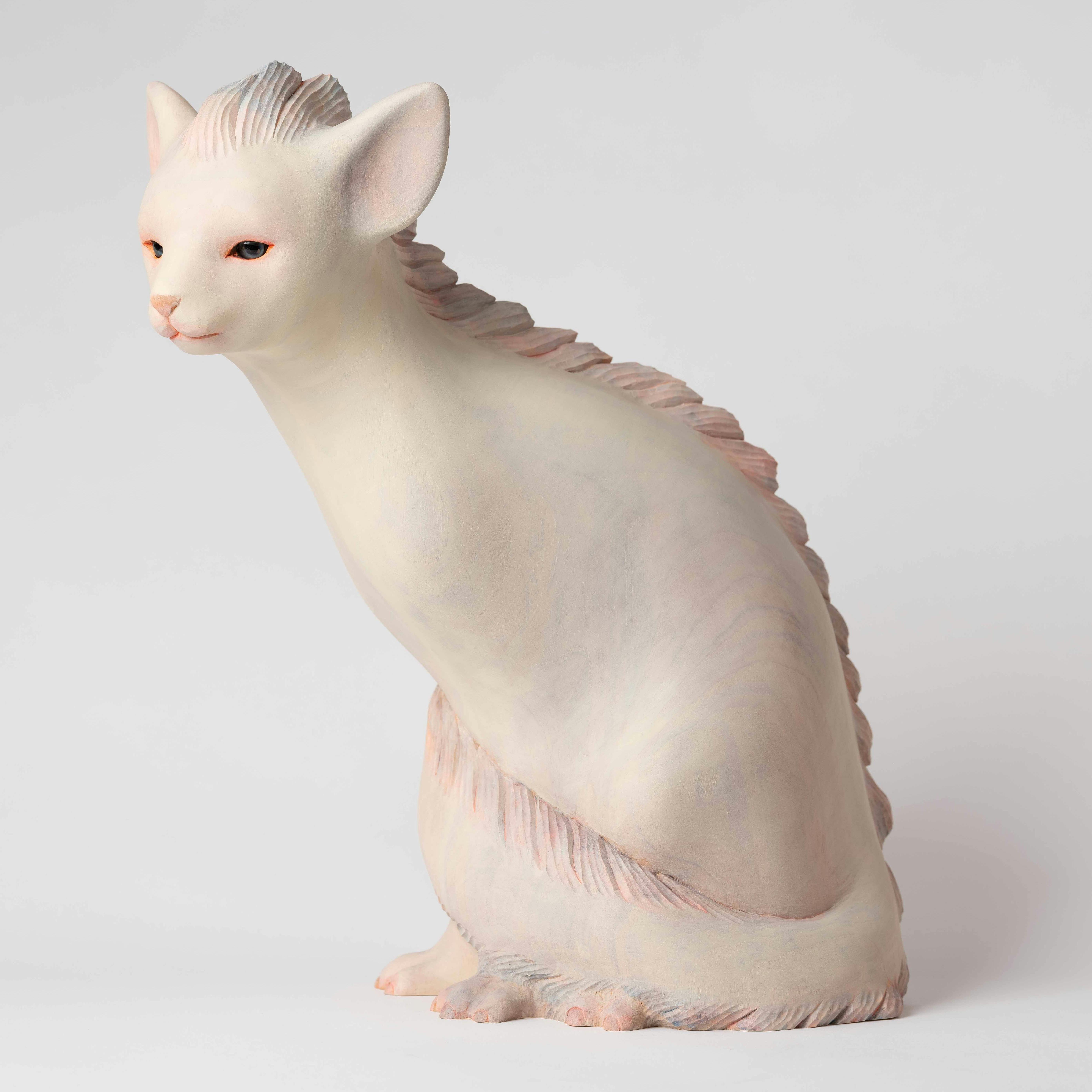 猫竜