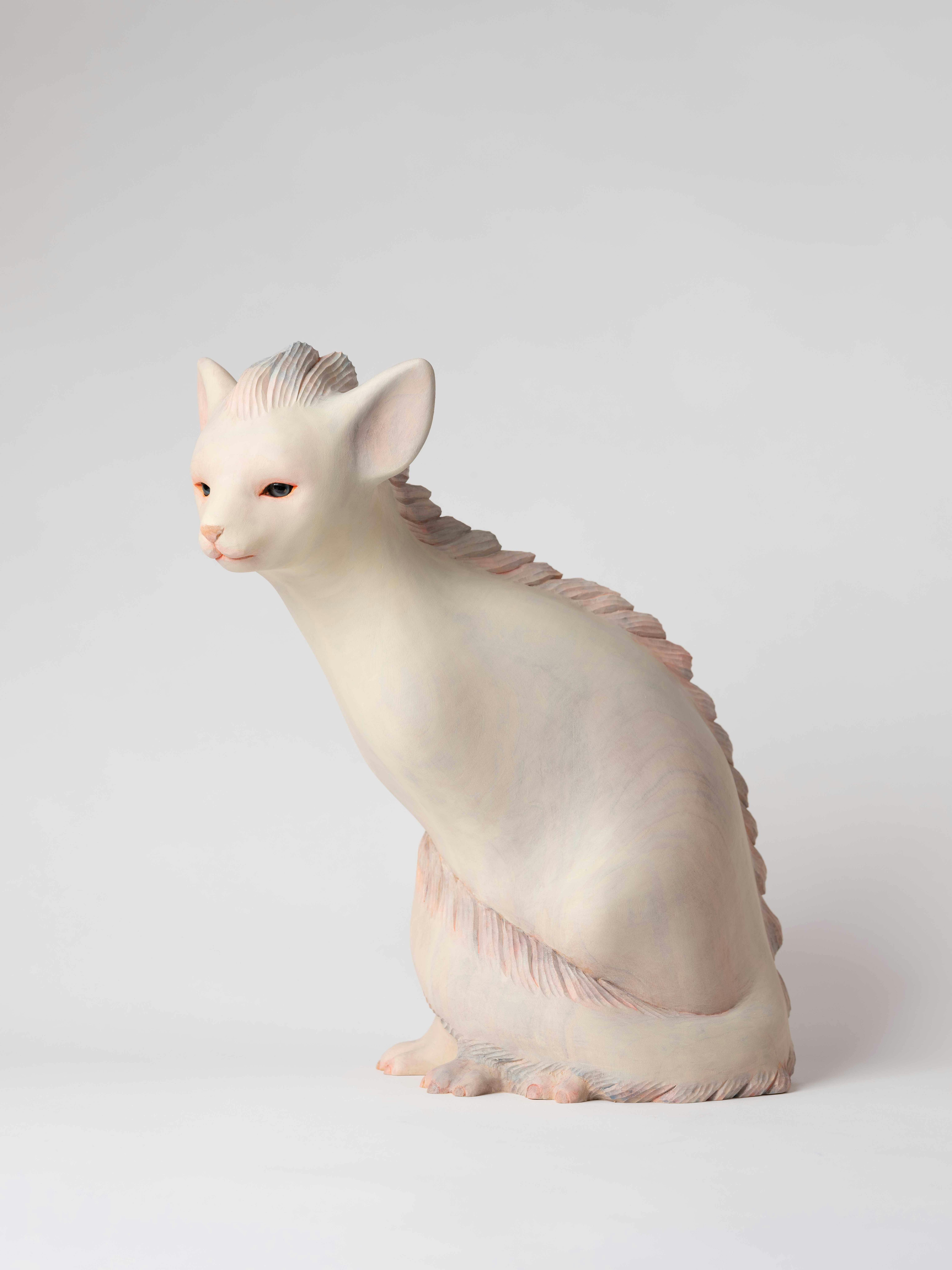 猫竜
