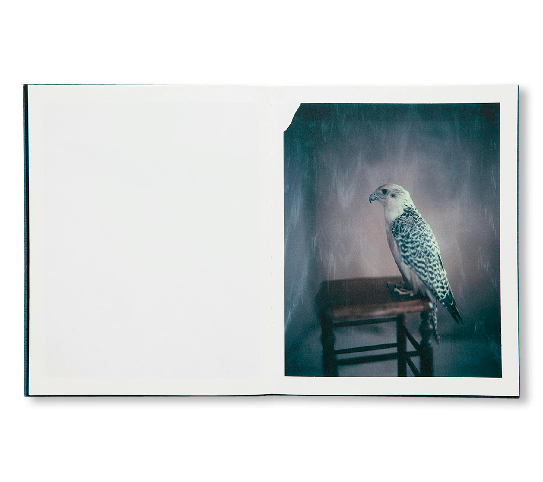 DES OISEAUX - PAOLO ROVERSI