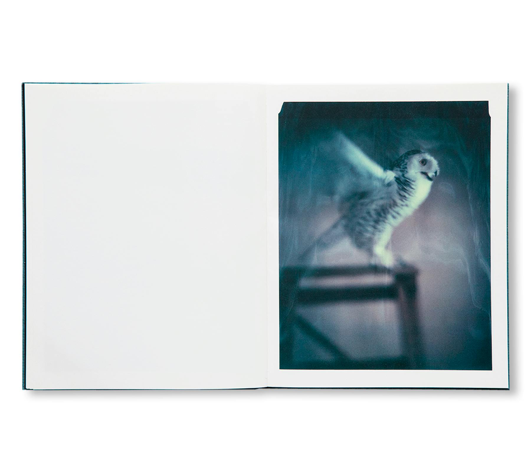 DES OISEAUX - PAOLO ROVERSI